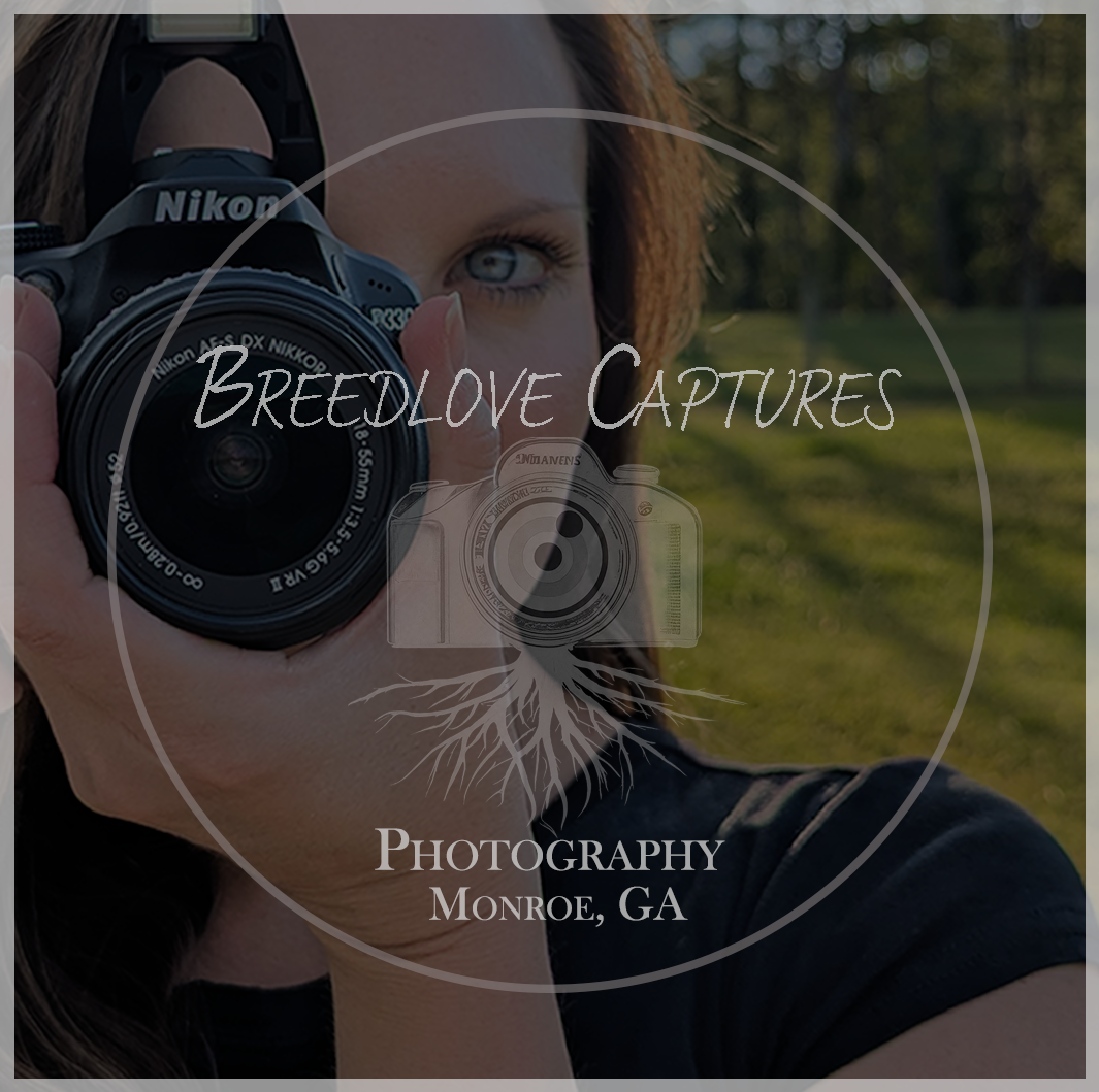 About Breedlove Captures